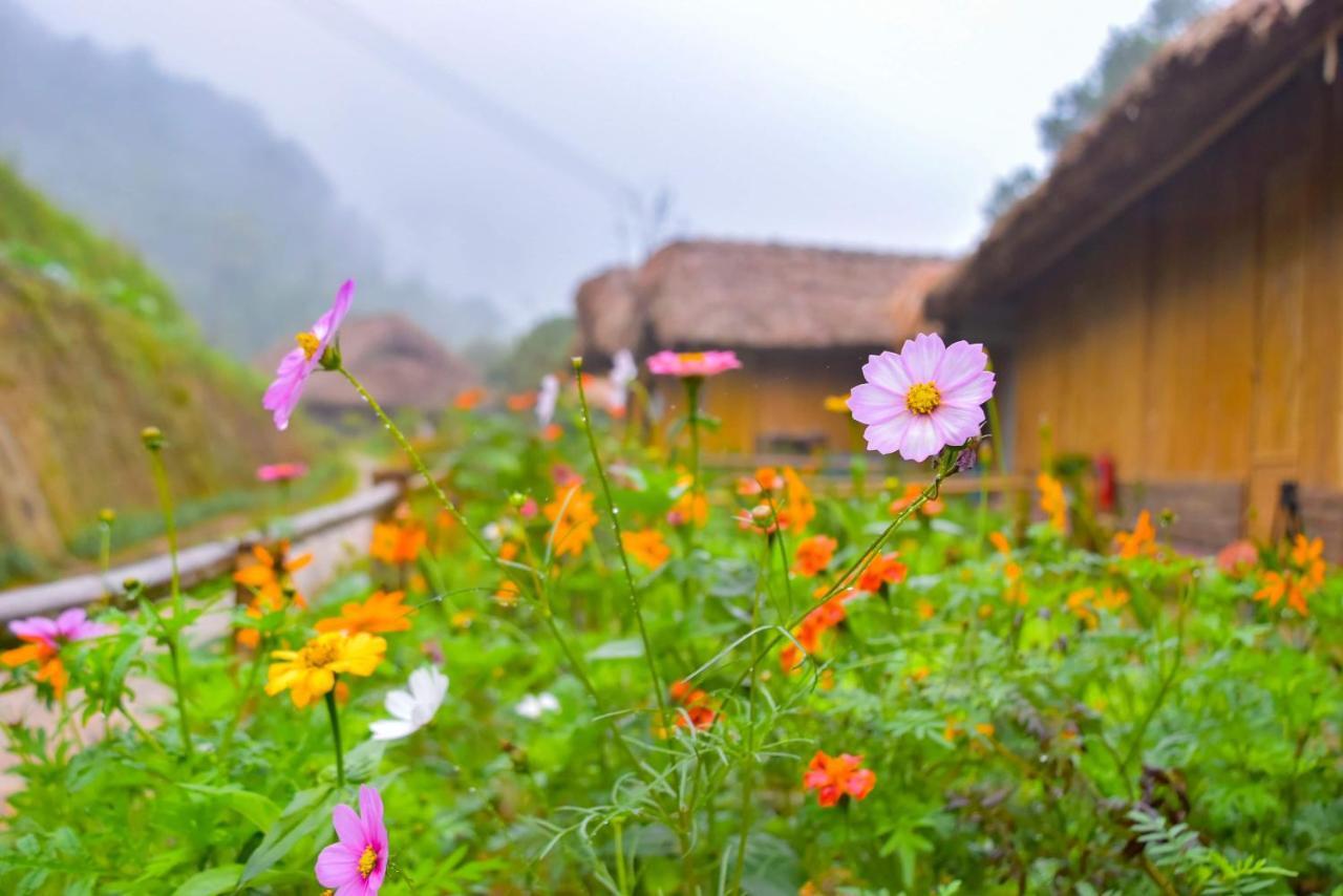 Dao Homestay Hoang Su Phi Екстериор снимка